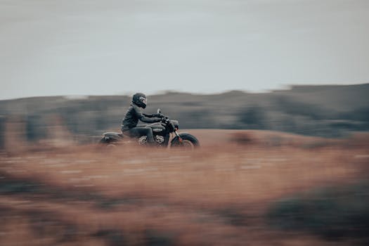 Hradec Králové: Motor Politiky a Rozvoje Kraje