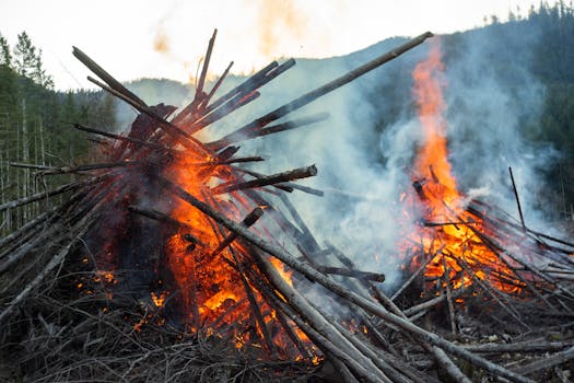 Klimatické změny: Jak Hradec Králové bojuje s dopady?