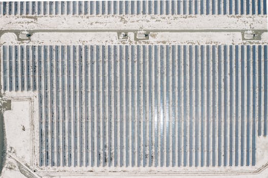 Hradec Králové čelí klimatickým změnám: Inovace a akce