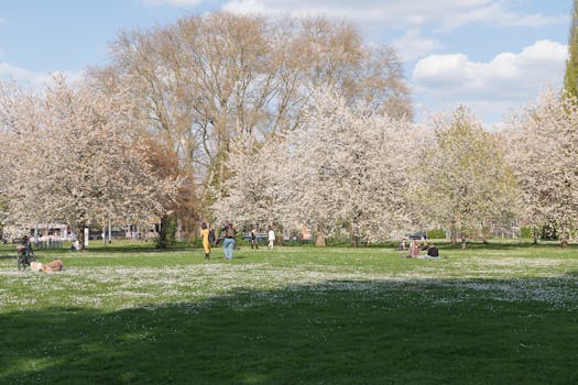 Hradec Králové se mění: Rozkvět cyklistické infrastruktury